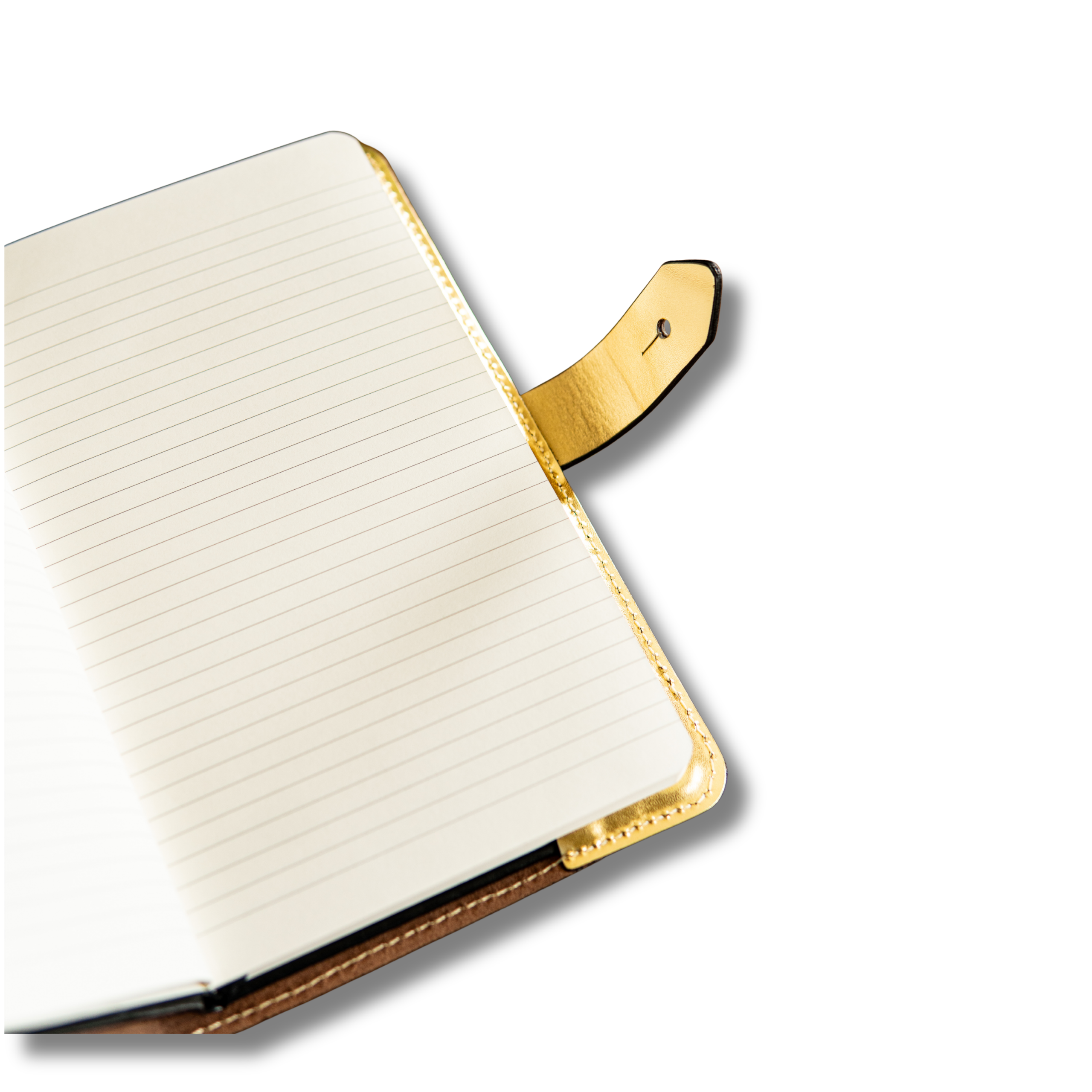 The Gold West Virginia Day 2026 Journal